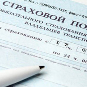 полис